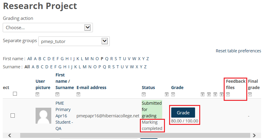 essay about spring unforgettable experience sample